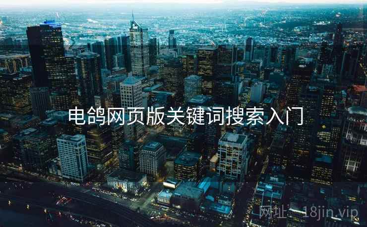 电鸽网页版关键词搜索入门