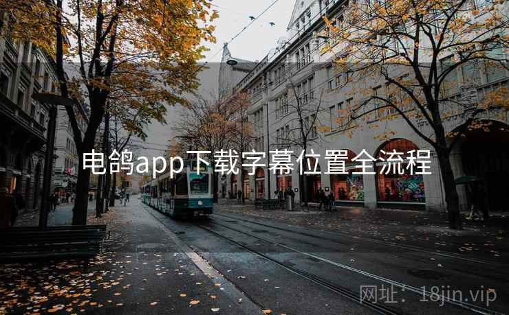 电鸽app下载字幕位置全流程
