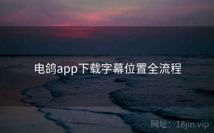 电鸽app下载字幕位置全流程