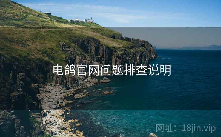 电鸽官网问题排查说明
