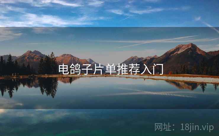 电鸽子片单推荐入门