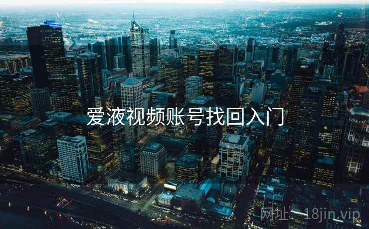 爱液视频账号找回入门