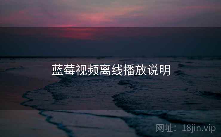 蓝莓视频离线播放说明