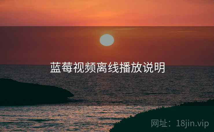蓝莓视频离线播放说明