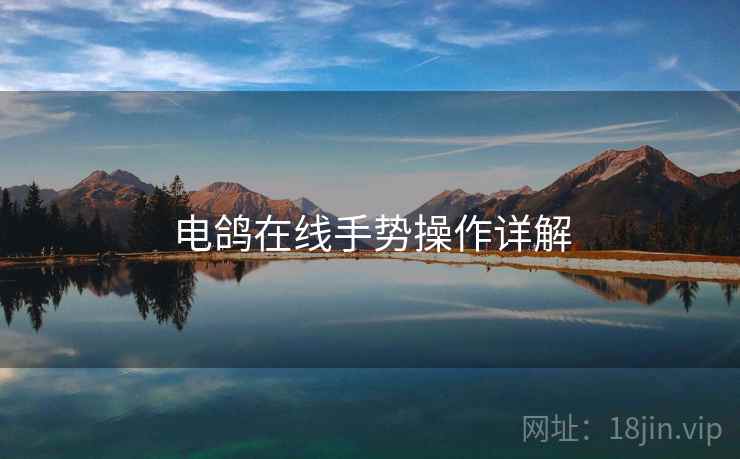电鸽在线手势操作详解