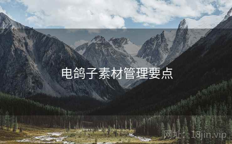 电鸽子素材管理要点