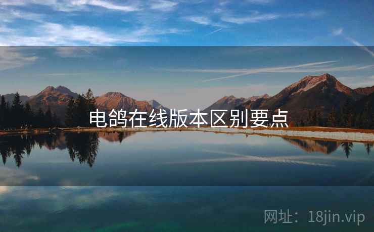 电鸽在线版本区别要点