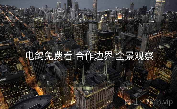电鸽免费看 合作边界 全景观察