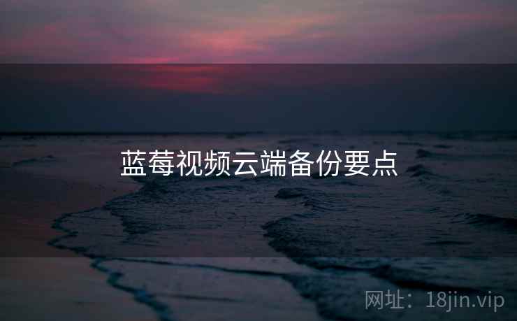 蓝莓视频云端备份要点