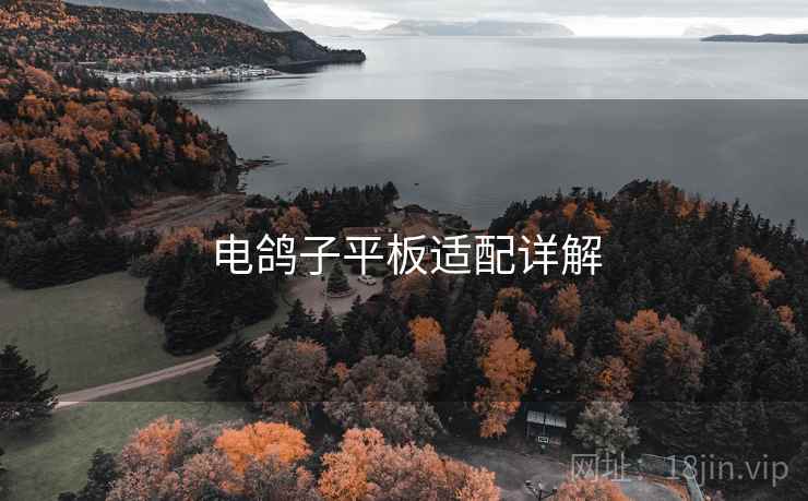 电鸽子平板适配详解